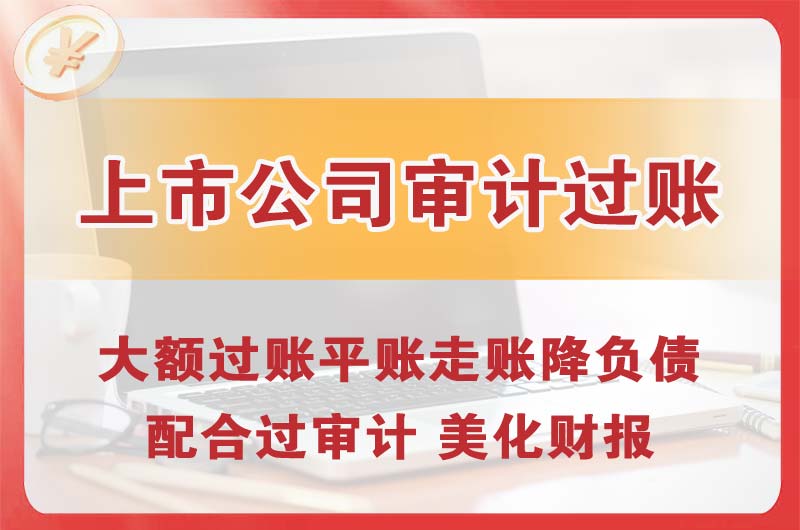 鄂州上市公司审计过账